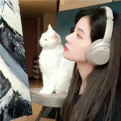 企鹅之岛：福克兰